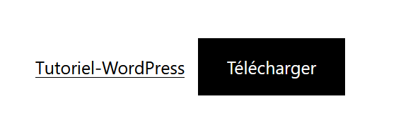 Exemple de bloc Fichier avec lien et bouton