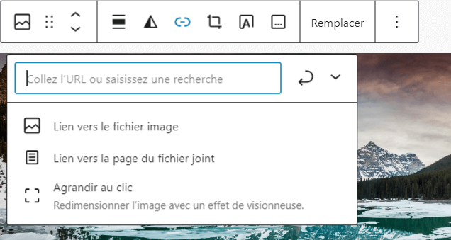 Options d’insertion de lien