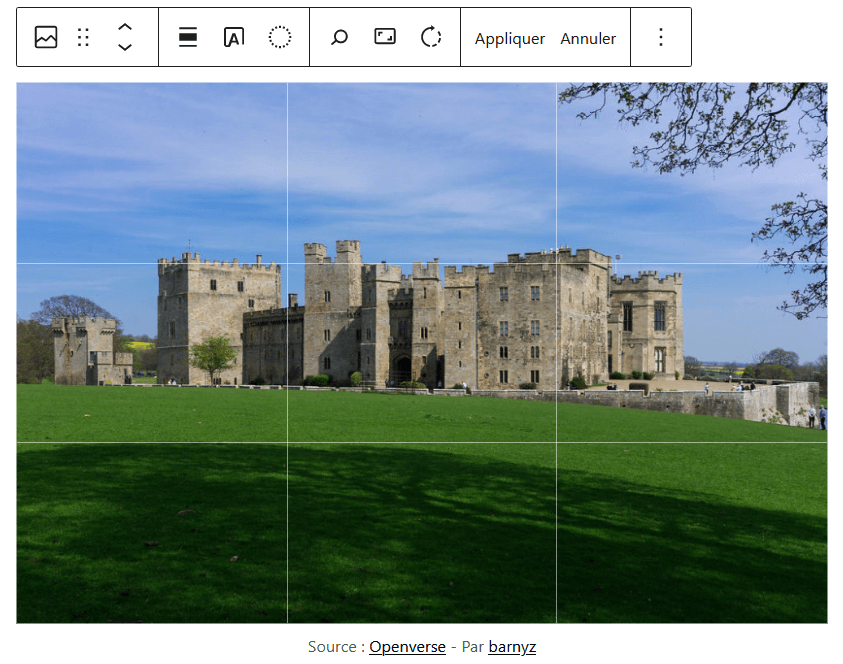 Outils Recadrer dans la barre d’outils du bloc Image