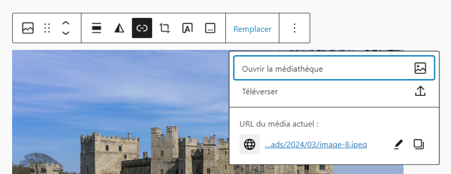 Options Remplacer image