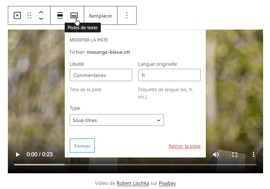 Paramétrage des pistes de texte du bloc Vidéo
